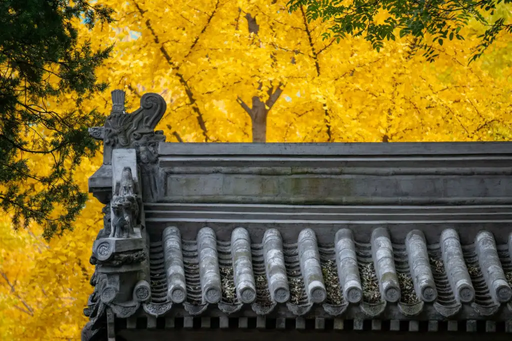 佛教寺院管理数字化转型实践：从香火统计到智能安防封面图