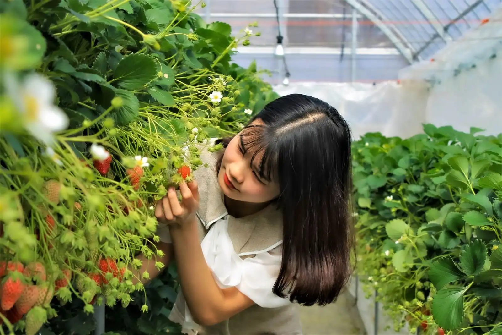 宣城广教寺佛教文化活动的组织规范与安全管理要点